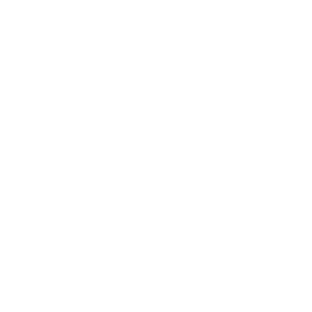 Pis