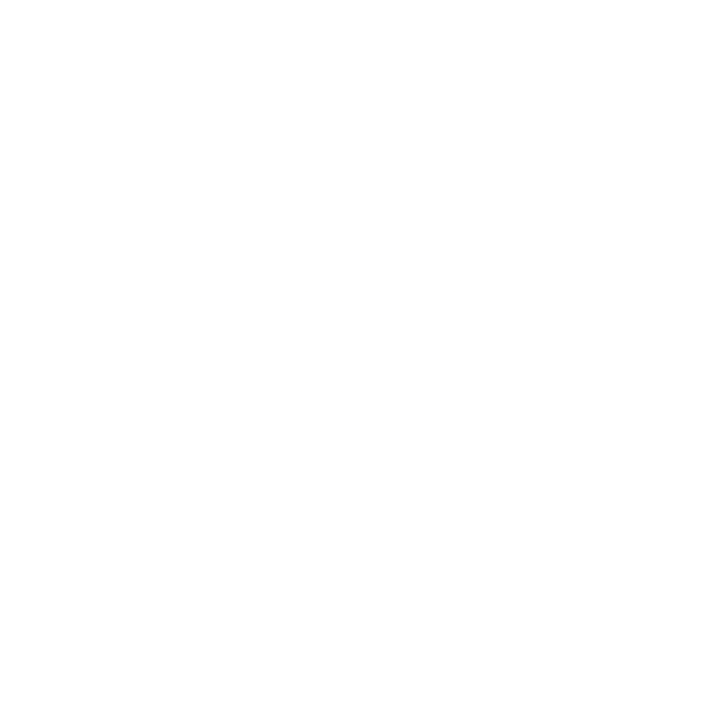 Pl logo